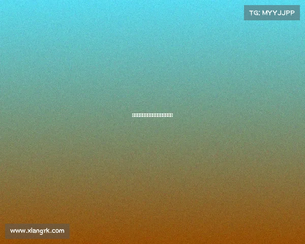 赛事申报函撰写全程指导与申报策略