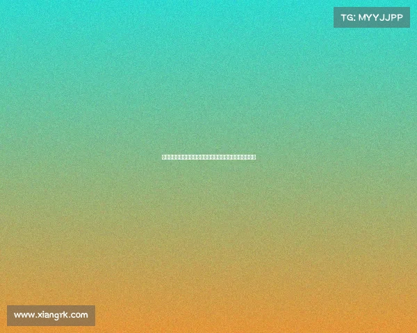 华为赛事盛典荣耀启幕全球英才竞技创新共筑科技未来新篇章